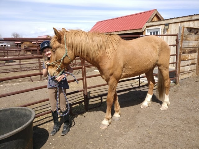 BLM Adopt a Horse