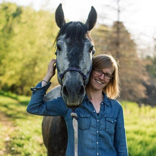 andi bravo - Horse Adoption Colorado