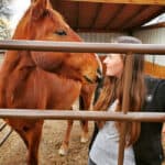 sally and diamond Wild Rose Magic Mustang - Mustang Adoption Colorado
