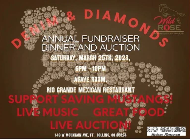 Denim & Diamonds – Annual Fundraiser