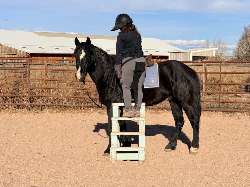#3WRHorse